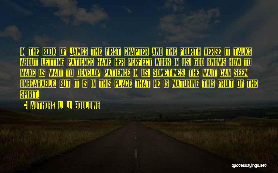 L. J. Boulding Quotes: In The Book Of James The First Chapter And The Fourth Verse It Talks About Letting Patience Have Her Perfect