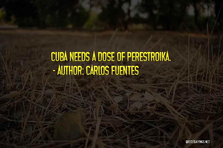 Carlos Fuentes Quotes: Cuba Needs A Dose Of Perestroika.