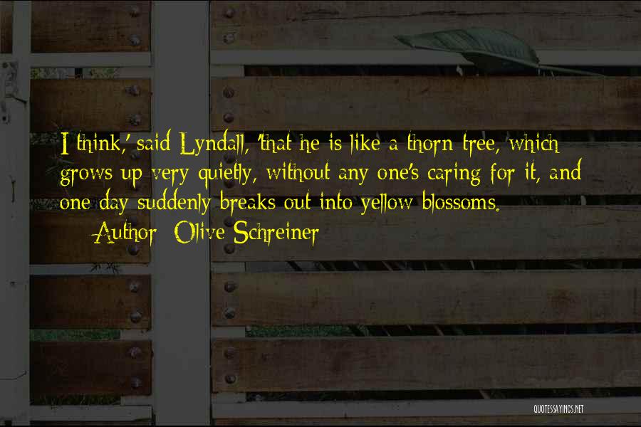 Olive Schreiner Quotes: I Think,' Said Lyndall, 'that He Is Like A Thorn-tree, Which Grows Up Very Quietly, Without Any One's Caring For