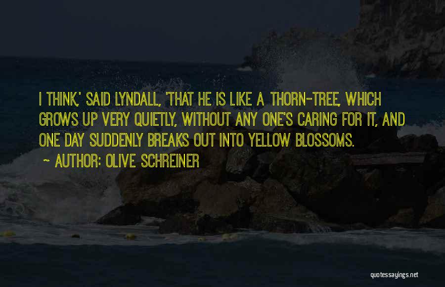 Olive Schreiner Quotes: I Think,' Said Lyndall, 'that He Is Like A Thorn-tree, Which Grows Up Very Quietly, Without Any One's Caring For