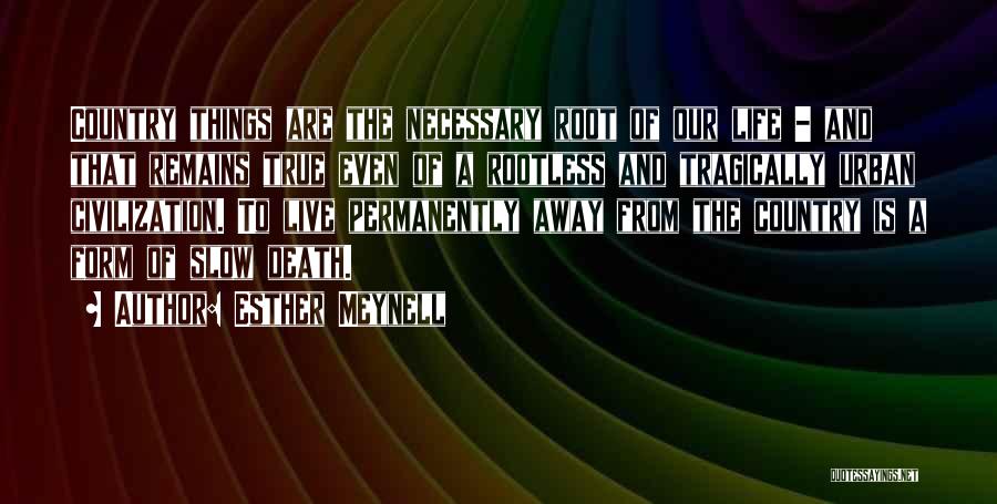 Esther Meynell Quotes: Country Things Are The Necessary Root Of Our Life - And That Remains True Even Of A Rootless And Tragically