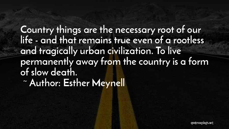 Esther Meynell Quotes: Country Things Are The Necessary Root Of Our Life - And That Remains True Even Of A Rootless And Tragically
