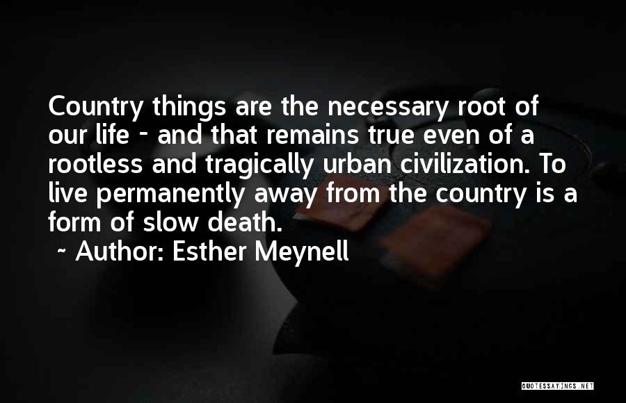 Esther Meynell Quotes: Country Things Are The Necessary Root Of Our Life - And That Remains True Even Of A Rootless And Tragically