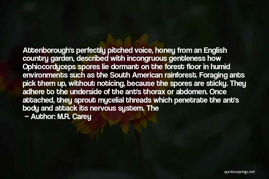 M.R. Carey Quotes: Attenborough's Perfectly Pitched Voice, Honey From An English Country Garden, Described With Incongruous Gentleness How Ophiocordyceps Spores Lie Dormant On