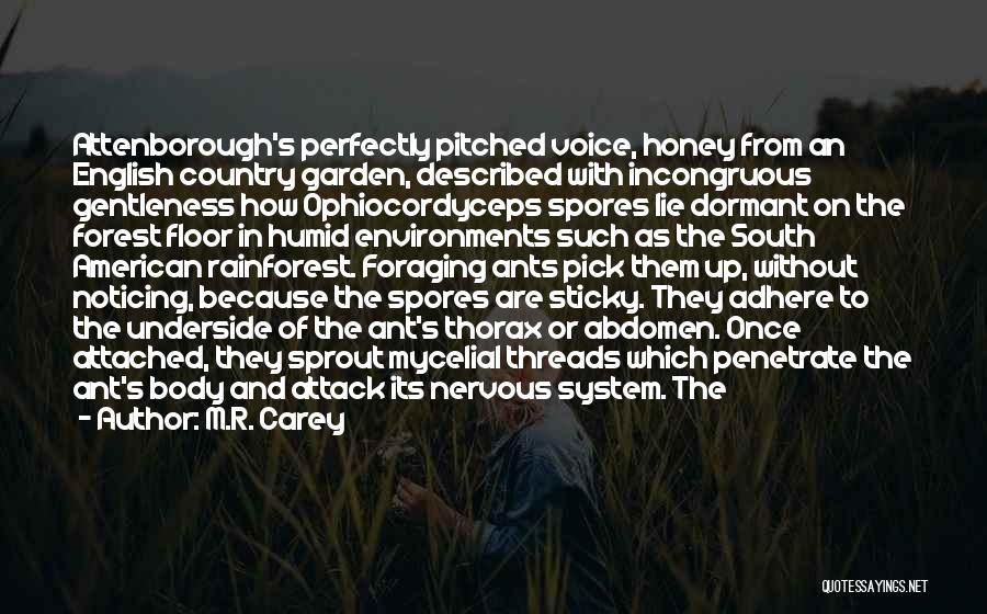 M.R. Carey Quotes: Attenborough's Perfectly Pitched Voice, Honey From An English Country Garden, Described With Incongruous Gentleness How Ophiocordyceps Spores Lie Dormant On