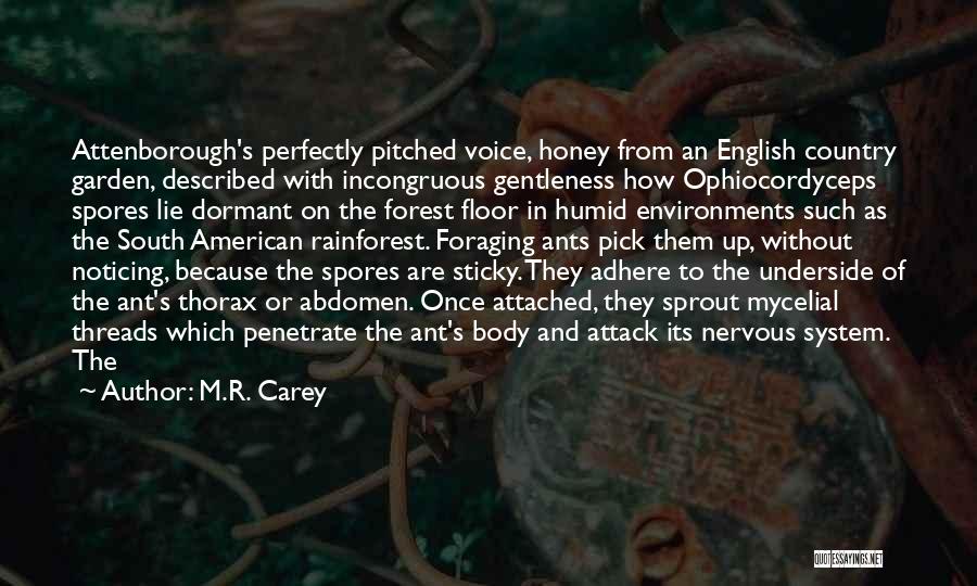 M.R. Carey Quotes: Attenborough's Perfectly Pitched Voice, Honey From An English Country Garden, Described With Incongruous Gentleness How Ophiocordyceps Spores Lie Dormant On