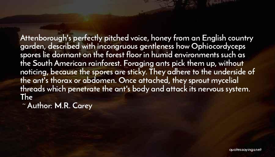 M.R. Carey Quotes: Attenborough's Perfectly Pitched Voice, Honey From An English Country Garden, Described With Incongruous Gentleness How Ophiocordyceps Spores Lie Dormant On