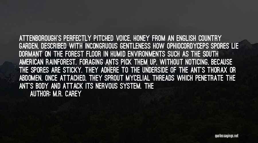 M.R. Carey Quotes: Attenborough's Perfectly Pitched Voice, Honey From An English Country Garden, Described With Incongruous Gentleness How Ophiocordyceps Spores Lie Dormant On