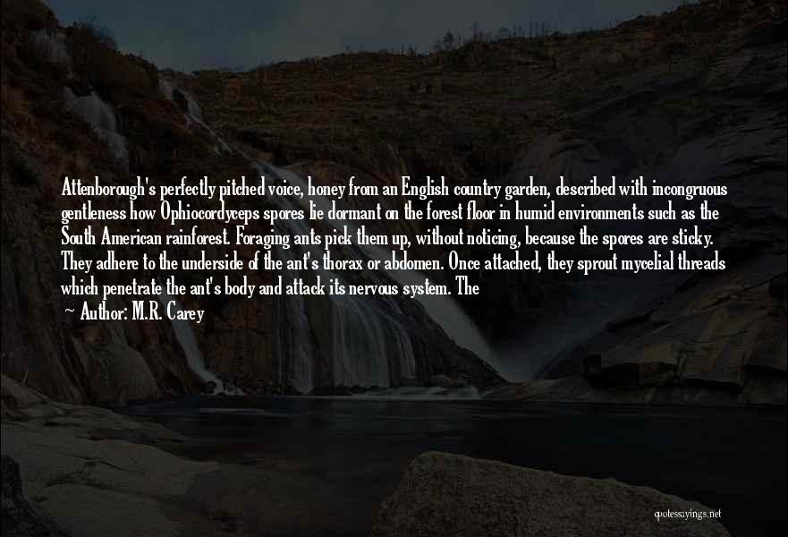 M.R. Carey Quotes: Attenborough's Perfectly Pitched Voice, Honey From An English Country Garden, Described With Incongruous Gentleness How Ophiocordyceps Spores Lie Dormant On
