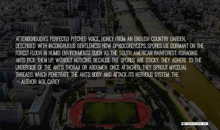 M.R. Carey Quotes: Attenborough's Perfectly Pitched Voice, Honey From An English Country Garden, Described With Incongruous Gentleness How Ophiocordyceps Spores Lie Dormant On