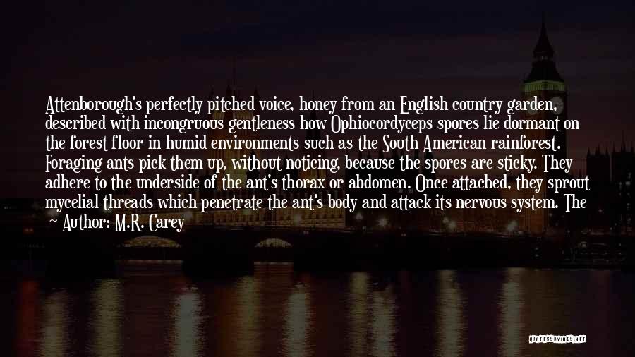 M.R. Carey Quotes: Attenborough's Perfectly Pitched Voice, Honey From An English Country Garden, Described With Incongruous Gentleness How Ophiocordyceps Spores Lie Dormant On