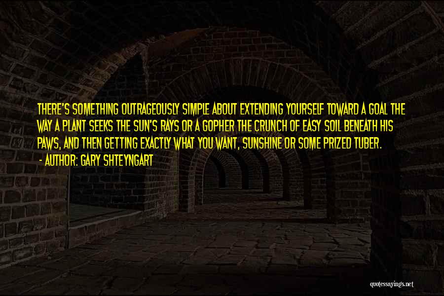 Gary Shteyngart Quotes: There's Something Outrageously Simple About Extending Yourself Toward A Goal The Way A Plant Seeks The Sun's Rays Or A