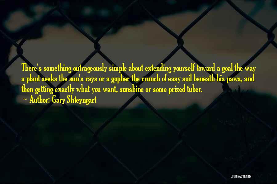 Gary Shteyngart Quotes: There's Something Outrageously Simple About Extending Yourself Toward A Goal The Way A Plant Seeks The Sun's Rays Or A