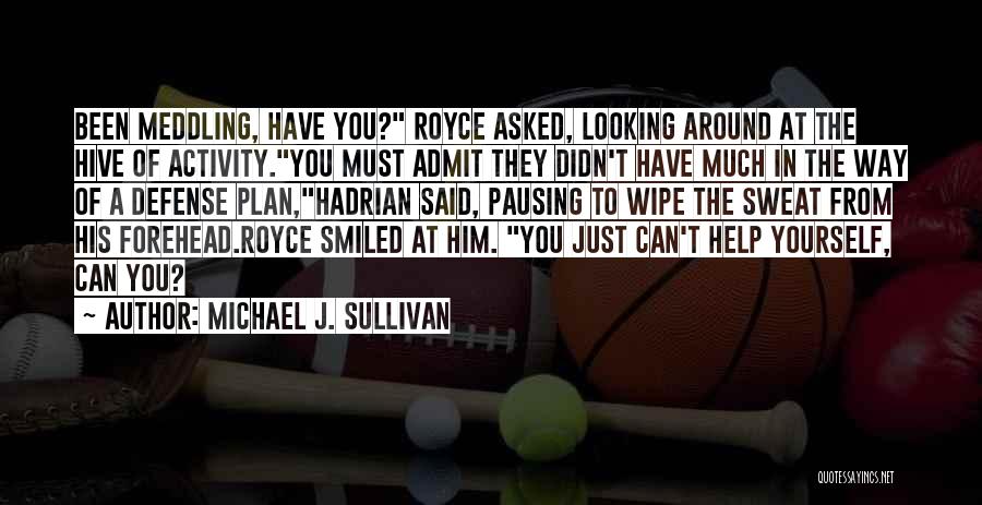 Michael J. Sullivan Quotes: Been Meddling, Have You? Royce Asked, Looking Around At The Hive Of Activity.you Must Admit They Didn't Have Much In