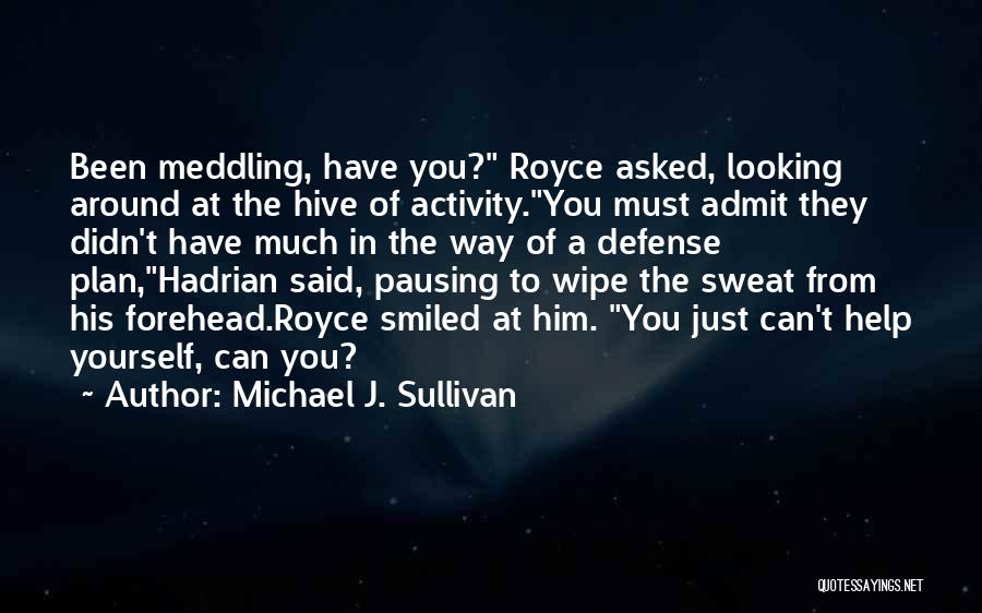 Michael J. Sullivan Quotes: Been Meddling, Have You? Royce Asked, Looking Around At The Hive Of Activity.you Must Admit They Didn't Have Much In