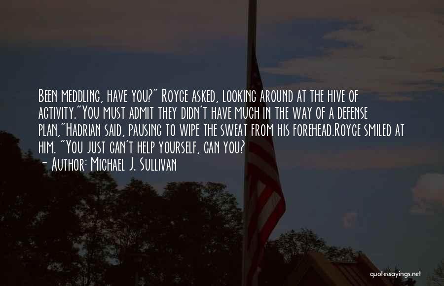Michael J. Sullivan Quotes: Been Meddling, Have You? Royce Asked, Looking Around At The Hive Of Activity.you Must Admit They Didn't Have Much In