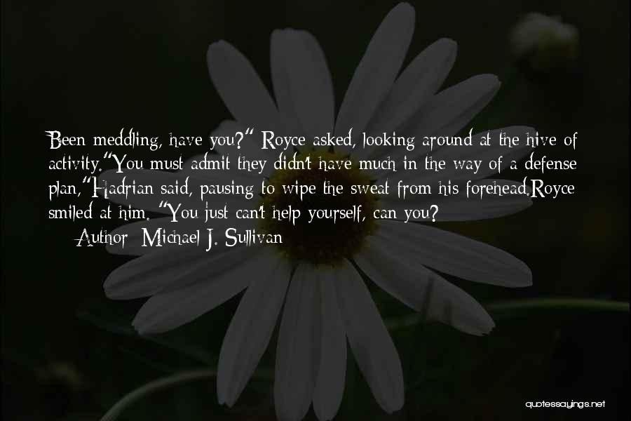 Michael J. Sullivan Quotes: Been Meddling, Have You? Royce Asked, Looking Around At The Hive Of Activity.you Must Admit They Didn't Have Much In