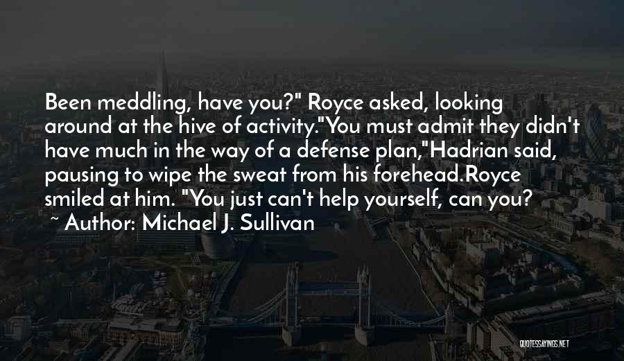 Michael J. Sullivan Quotes: Been Meddling, Have You? Royce Asked, Looking Around At The Hive Of Activity.you Must Admit They Didn't Have Much In