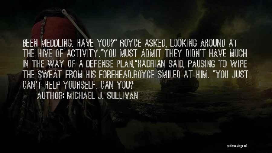 Michael J. Sullivan Quotes: Been Meddling, Have You? Royce Asked, Looking Around At The Hive Of Activity.you Must Admit They Didn't Have Much In