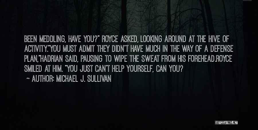 Michael J. Sullivan Quotes: Been Meddling, Have You? Royce Asked, Looking Around At The Hive Of Activity.you Must Admit They Didn't Have Much In