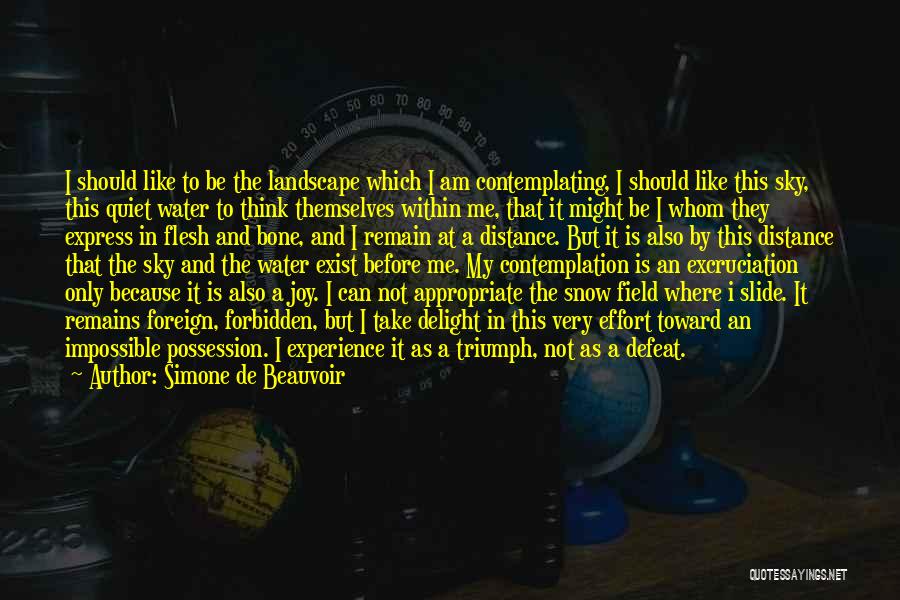 Simone De Beauvoir Quotes: I Should Like To Be The Landscape Which I Am Contemplating, I Should Like This Sky, This Quiet Water To