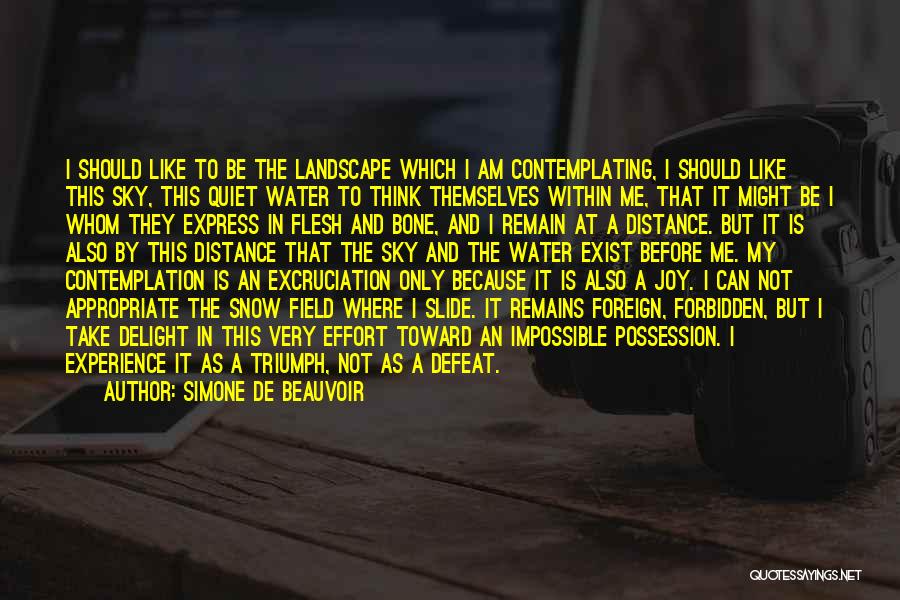 Simone De Beauvoir Quotes: I Should Like To Be The Landscape Which I Am Contemplating, I Should Like This Sky, This Quiet Water To