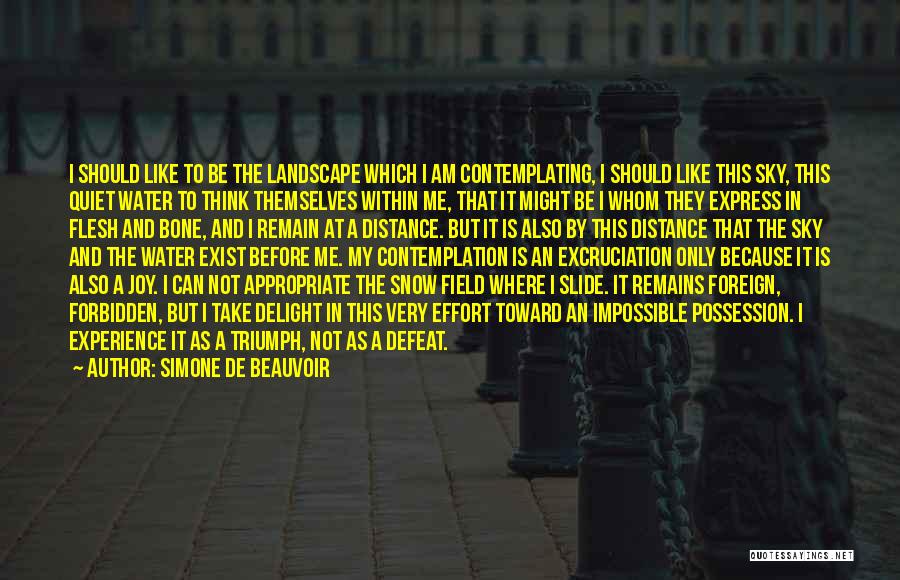 Simone De Beauvoir Quotes: I Should Like To Be The Landscape Which I Am Contemplating, I Should Like This Sky, This Quiet Water To