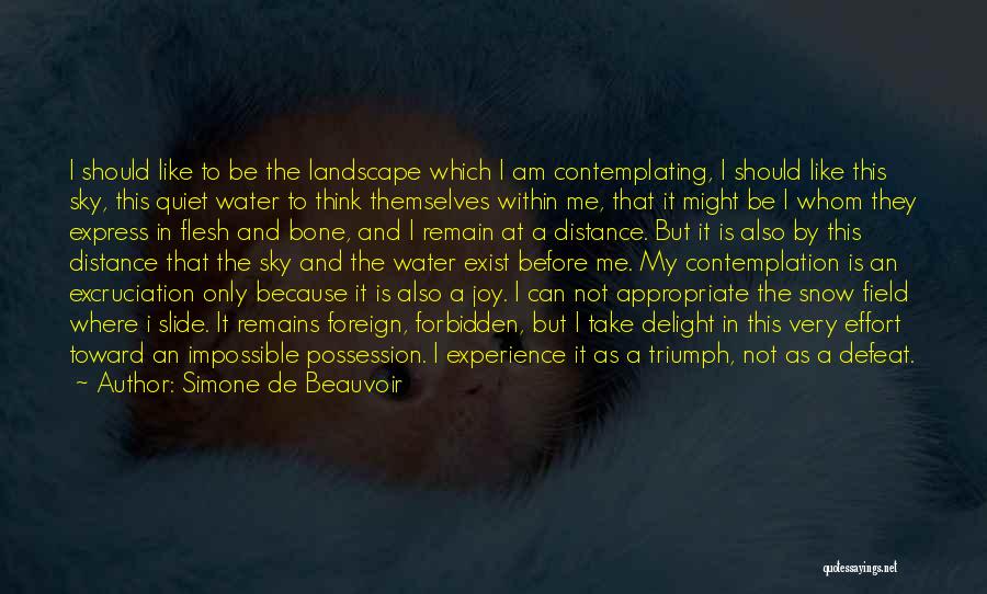 Simone De Beauvoir Quotes: I Should Like To Be The Landscape Which I Am Contemplating, I Should Like This Sky, This Quiet Water To