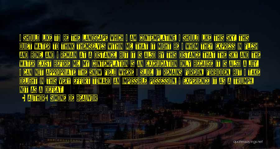 Simone De Beauvoir Quotes: I Should Like To Be The Landscape Which I Am Contemplating, I Should Like This Sky, This Quiet Water To
