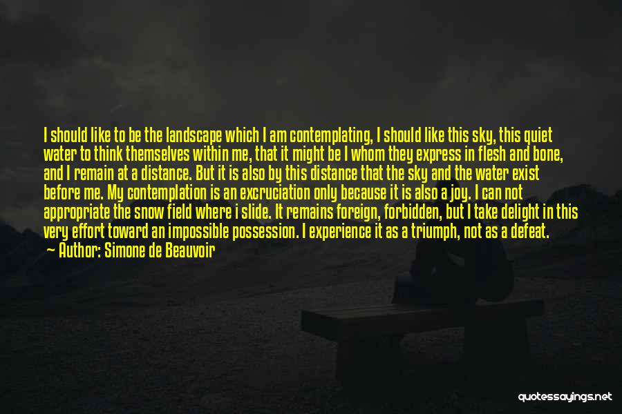 Simone De Beauvoir Quotes: I Should Like To Be The Landscape Which I Am Contemplating, I Should Like This Sky, This Quiet Water To