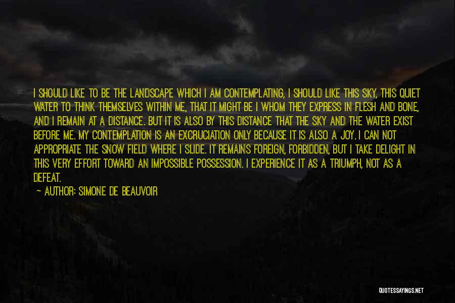 Simone De Beauvoir Quotes: I Should Like To Be The Landscape Which I Am Contemplating, I Should Like This Sky, This Quiet Water To