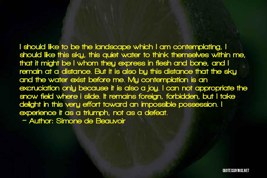 Simone De Beauvoir Quotes: I Should Like To Be The Landscape Which I Am Contemplating, I Should Like This Sky, This Quiet Water To