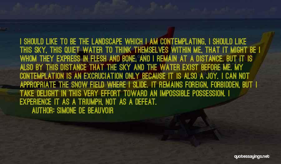 Simone De Beauvoir Quotes: I Should Like To Be The Landscape Which I Am Contemplating, I Should Like This Sky, This Quiet Water To