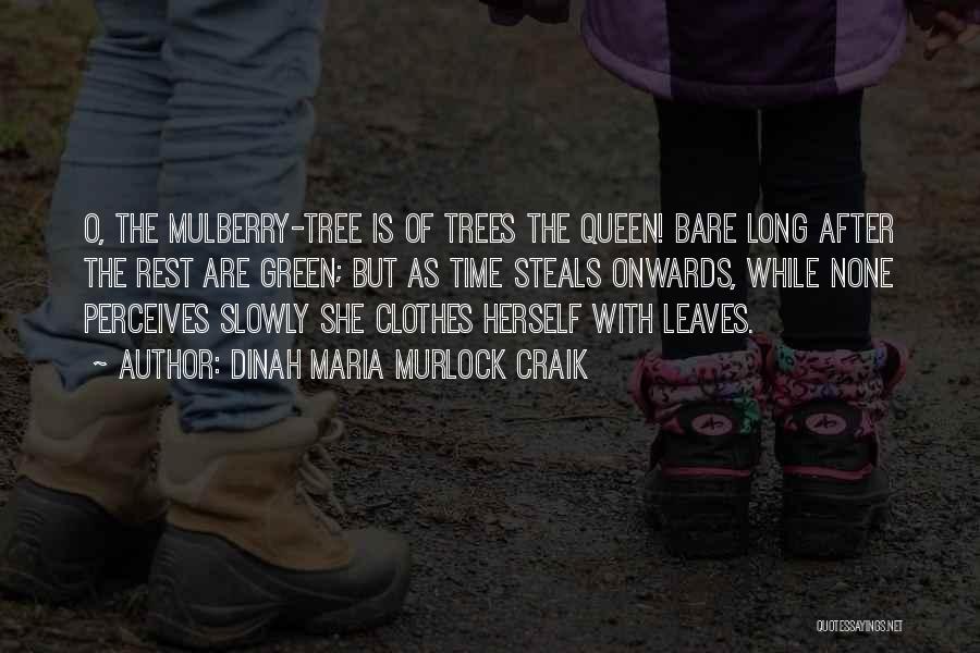 Dinah Maria Murlock Craik Quotes: O, The Mulberry-tree Is Of Trees The Queen! Bare Long After The Rest Are Green; But As Time Steals Onwards,