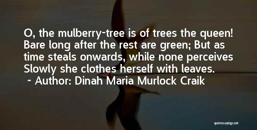 Dinah Maria Murlock Craik Quotes: O, The Mulberry-tree Is Of Trees The Queen! Bare Long After The Rest Are Green; But As Time Steals Onwards,