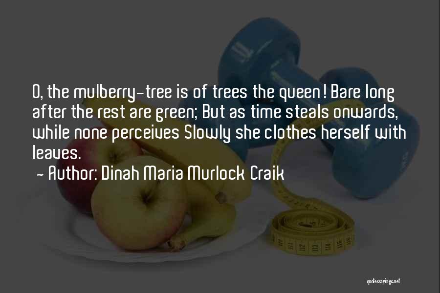 Dinah Maria Murlock Craik Quotes: O, The Mulberry-tree Is Of Trees The Queen! Bare Long After The Rest Are Green; But As Time Steals Onwards,