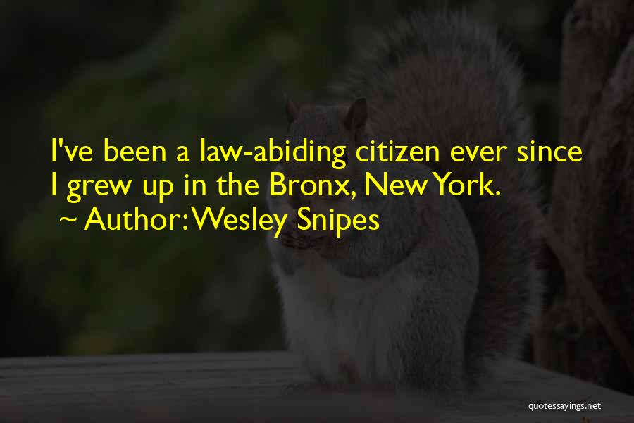 Wesley Snipes Quotes: I've Been A Law-abiding Citizen Ever Since I Grew Up In The Bronx, New York.