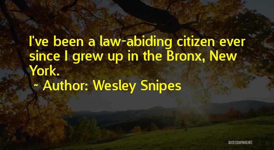 Wesley Snipes Quotes: I've Been A Law-abiding Citizen Ever Since I Grew Up In The Bronx, New York.