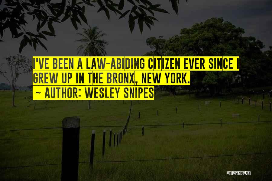 Wesley Snipes Quotes: I've Been A Law-abiding Citizen Ever Since I Grew Up In The Bronx, New York.