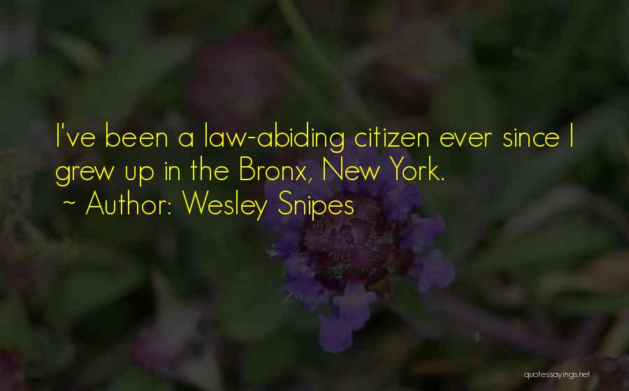 Wesley Snipes Quotes: I've Been A Law-abiding Citizen Ever Since I Grew Up In The Bronx, New York.