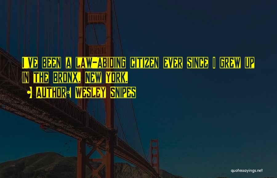 Wesley Snipes Quotes: I've Been A Law-abiding Citizen Ever Since I Grew Up In The Bronx, New York.