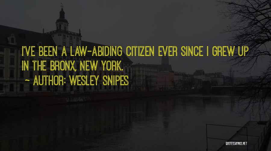 Wesley Snipes Quotes: I've Been A Law-abiding Citizen Ever Since I Grew Up In The Bronx, New York.