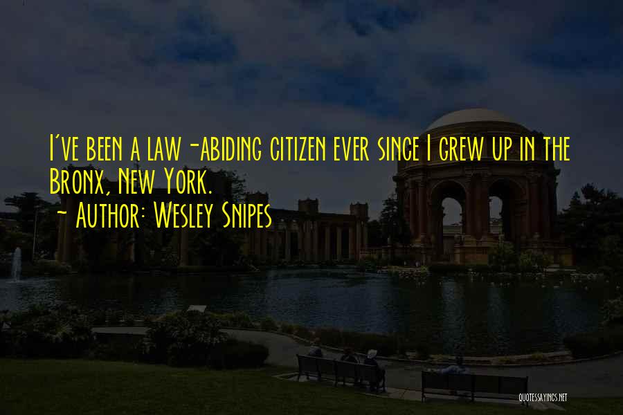 Wesley Snipes Quotes: I've Been A Law-abiding Citizen Ever Since I Grew Up In The Bronx, New York.