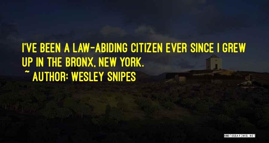 Wesley Snipes Quotes: I've Been A Law-abiding Citizen Ever Since I Grew Up In The Bronx, New York.