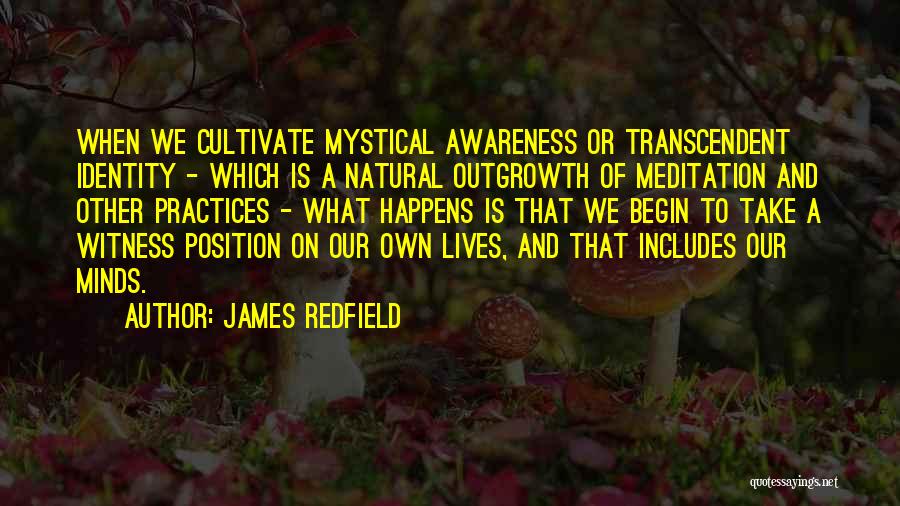 James Redfield Quotes: When We Cultivate Mystical Awareness Or Transcendent Identity - Which Is A Natural Outgrowth Of Meditation And Other Practices -
