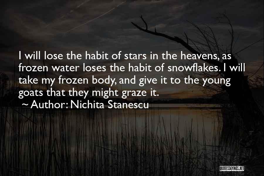 Nichita Stanescu Quotes: I Will Lose The Habit Of Stars In The Heavens, As Frozen Water Loses The Habit Of Snowflakes. I Will