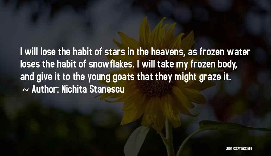 Nichita Stanescu Quotes: I Will Lose The Habit Of Stars In The Heavens, As Frozen Water Loses The Habit Of Snowflakes. I Will