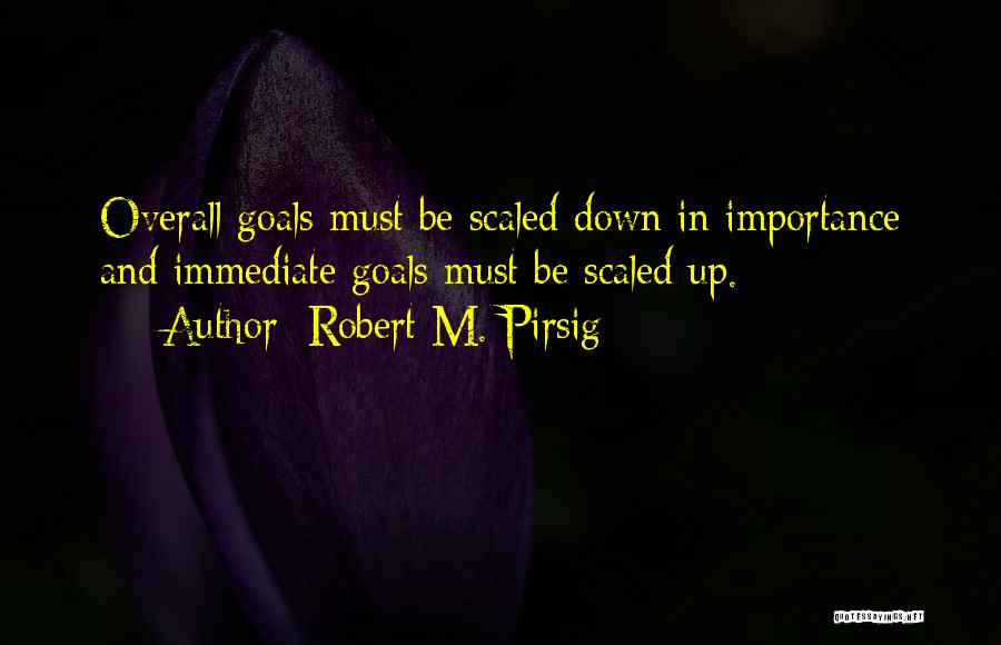 Robert M. Pirsig Quotes: Overall Goals Must Be Scaled Down In Importance And Immediate Goals Must Be Scaled Up.