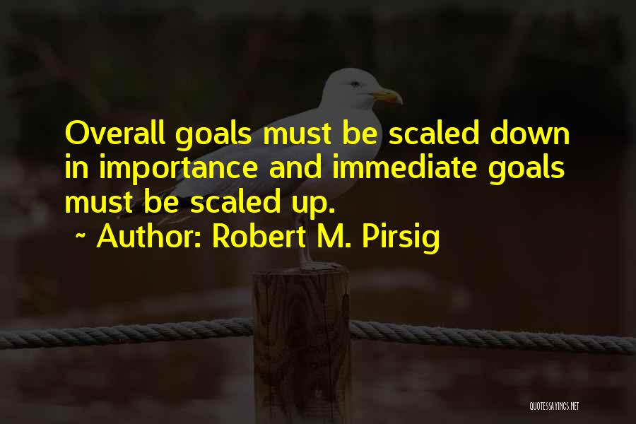 Robert M. Pirsig Quotes: Overall Goals Must Be Scaled Down In Importance And Immediate Goals Must Be Scaled Up.