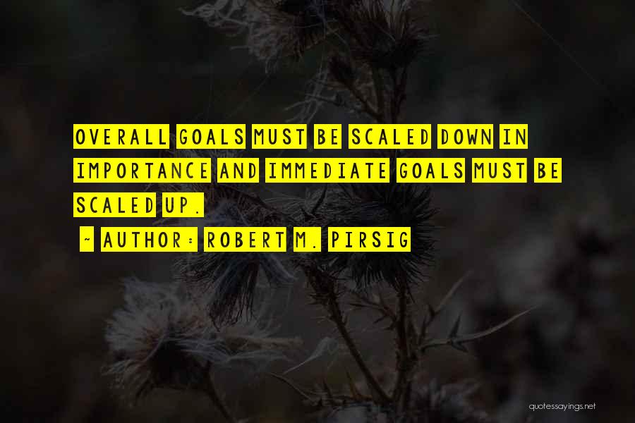 Robert M. Pirsig Quotes: Overall Goals Must Be Scaled Down In Importance And Immediate Goals Must Be Scaled Up.